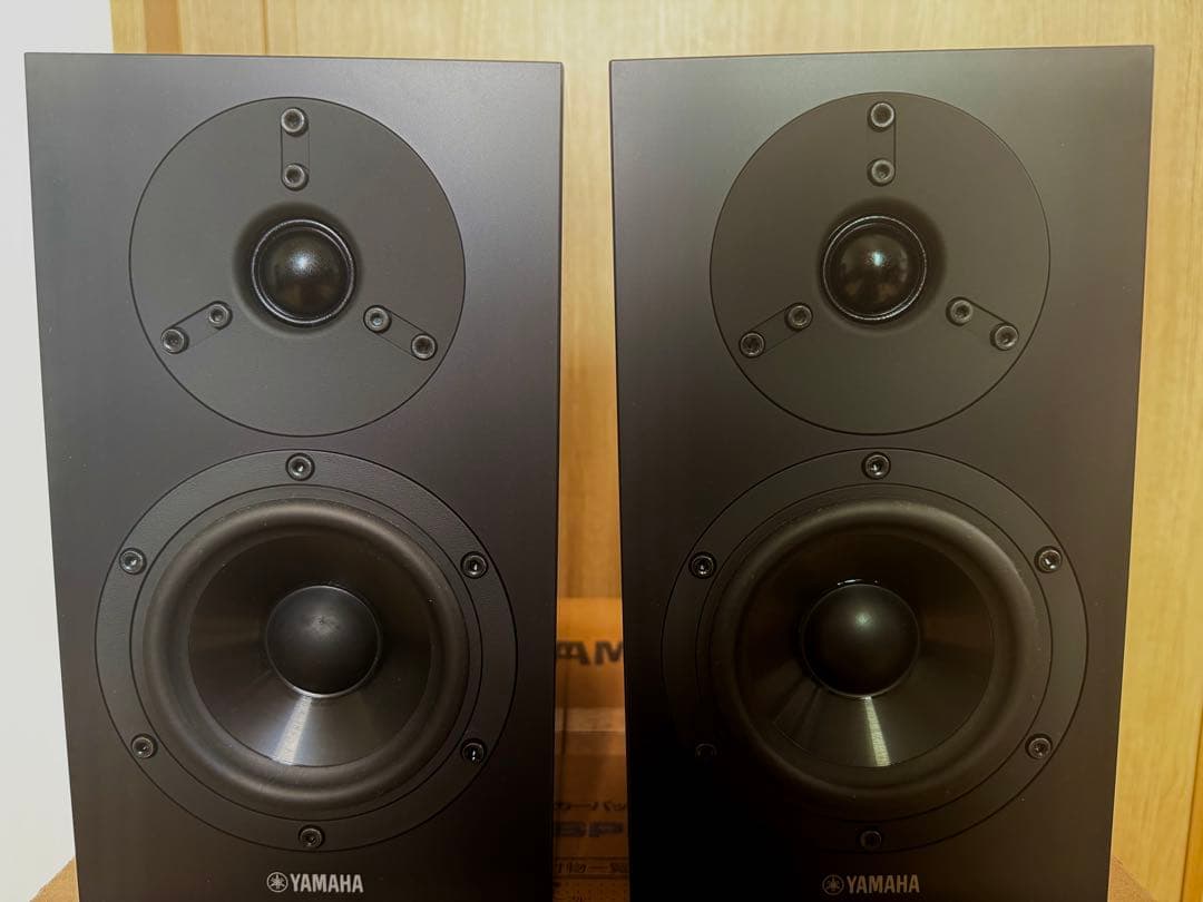 Coral session ヤマハ NS-BP200 （BP）