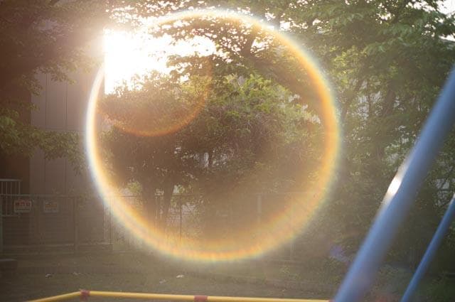 【オールドレンズ】Super Takumar 55mm f1.8 後期