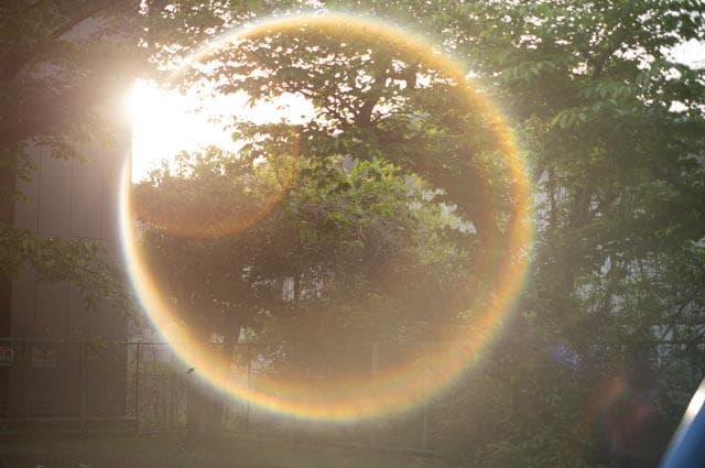 【オールドレンズ】Super Takumar 55mm f1.8 後期