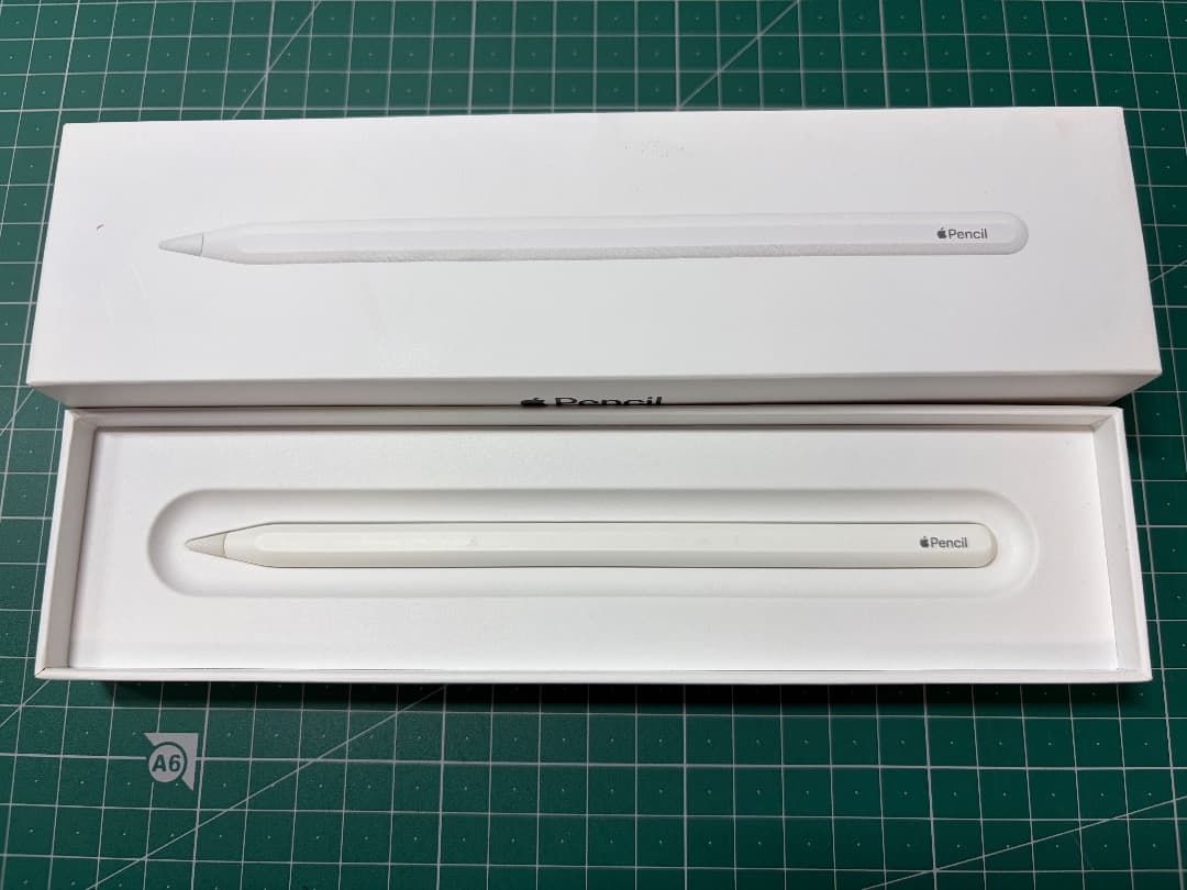 iPad Pro 12.9インチ （第5世代）128GB Wi-Fiモデル