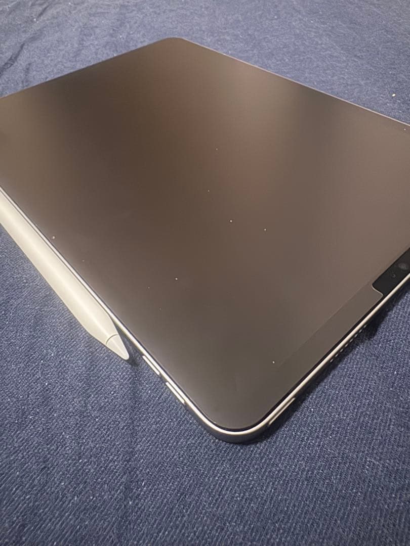 iPad Pro 11インチ 4世代 256GB Apple Pencil付き