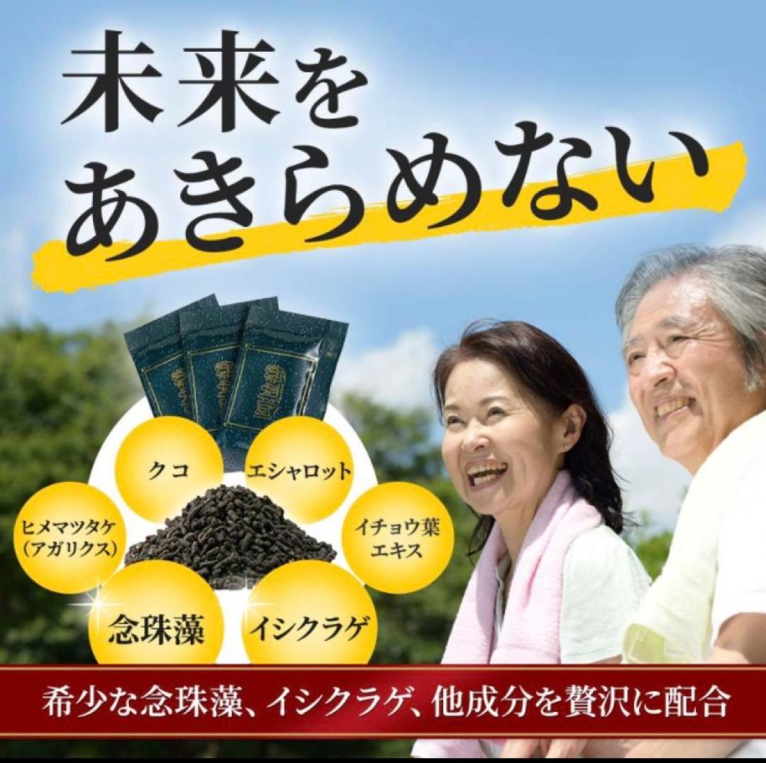マイクロアルジェ〜阿拉善〜　【未開封❺箱/特価価格】