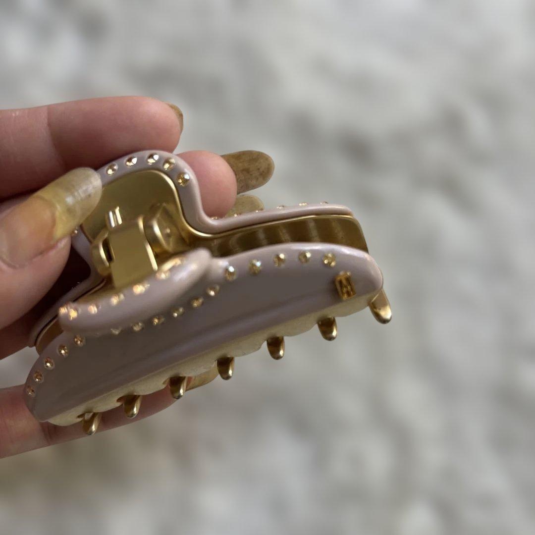 ✴︎美品✴︎アレクサンドルドゥパリ ヴァンドームクリップ Mクリップ