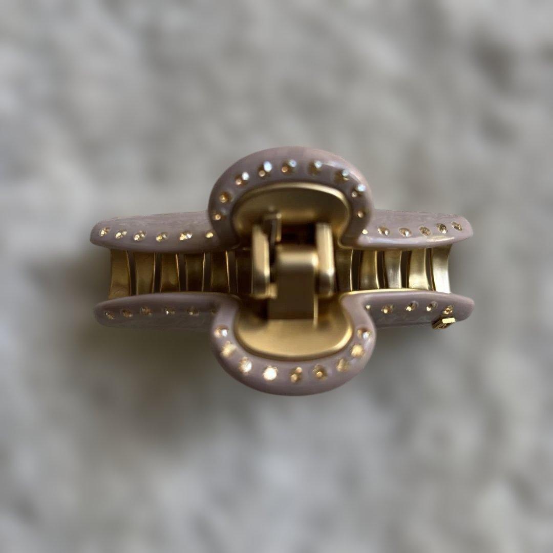 ✴︎美品✴︎アレクサンドルドゥパリ ヴァンドームクリップ Mクリップ