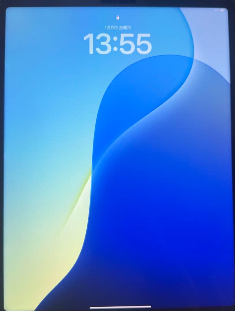 iPad Pro 12.9インチ(第5世代) Wi-Fi ＋おまけ