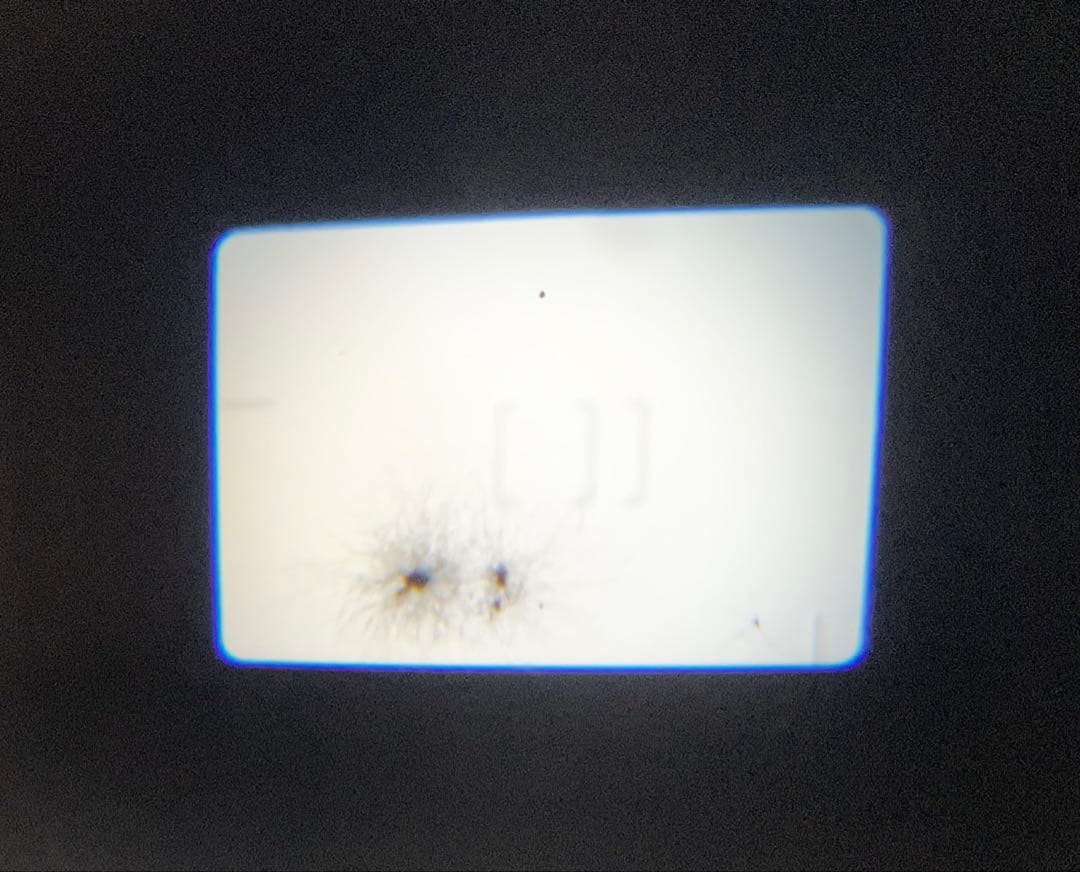 【完動品】Canon Autoboy S フィルムカメラ 動作確認済み