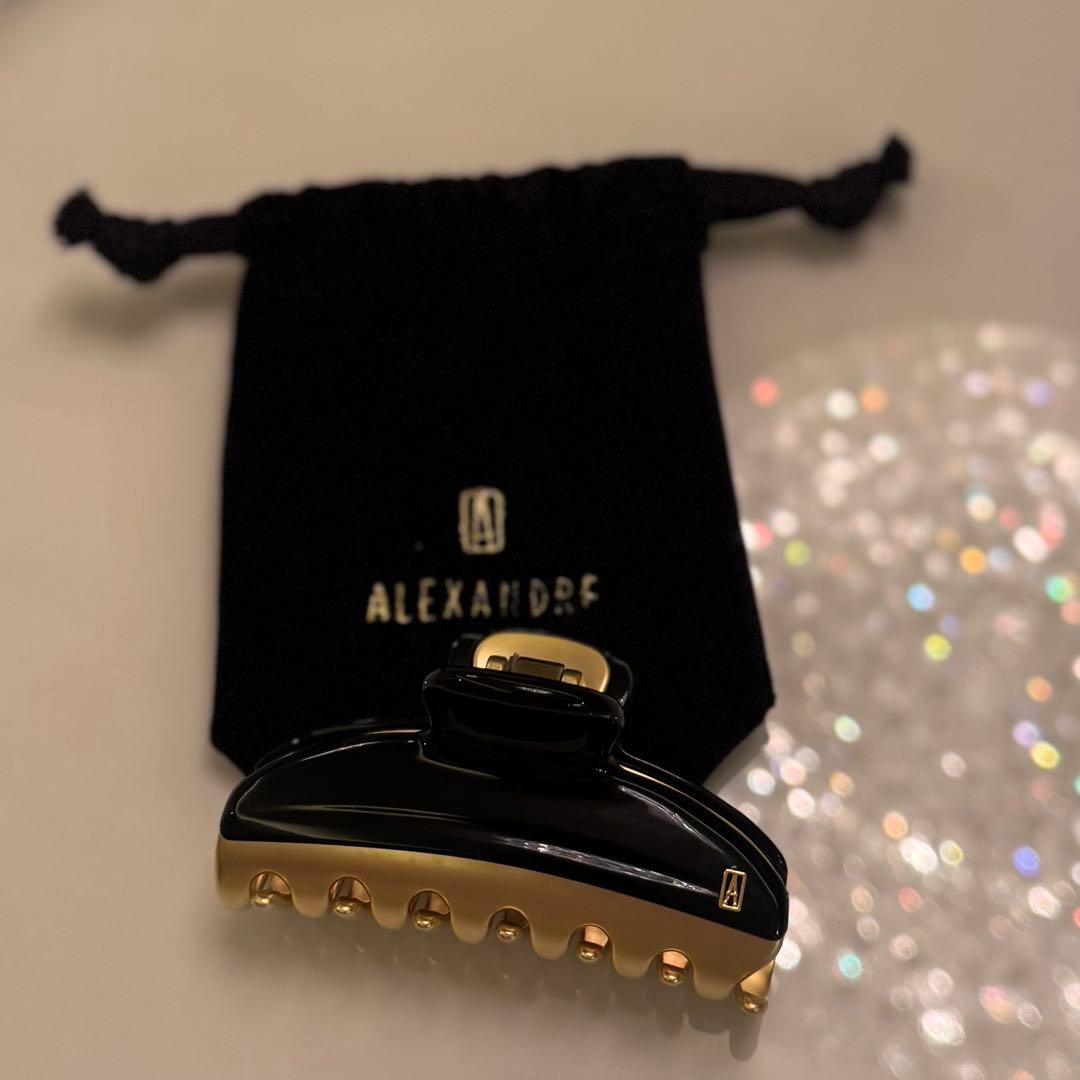 新品　アレクサドルドゥパリ　クリップ