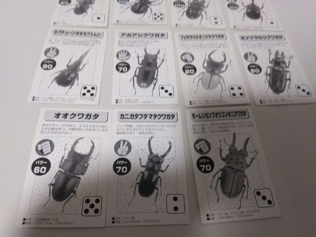 昆虫トレーディングカード 15枚セット