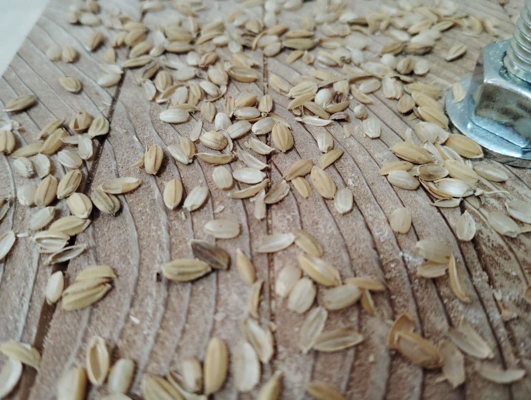 回転式籾擦り機(小型 回転軸ボルト、上部投入タイプ)