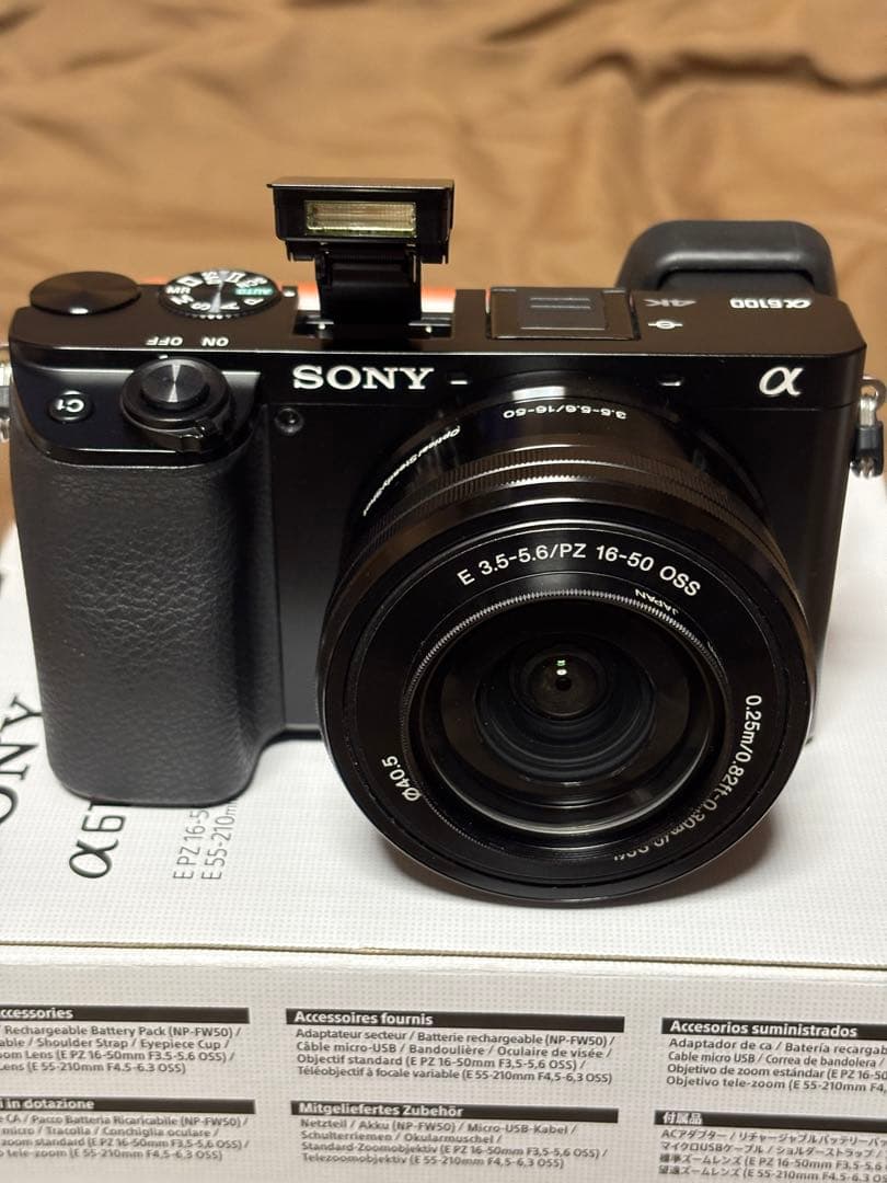 SONY α6100 ミラーレスカメラ