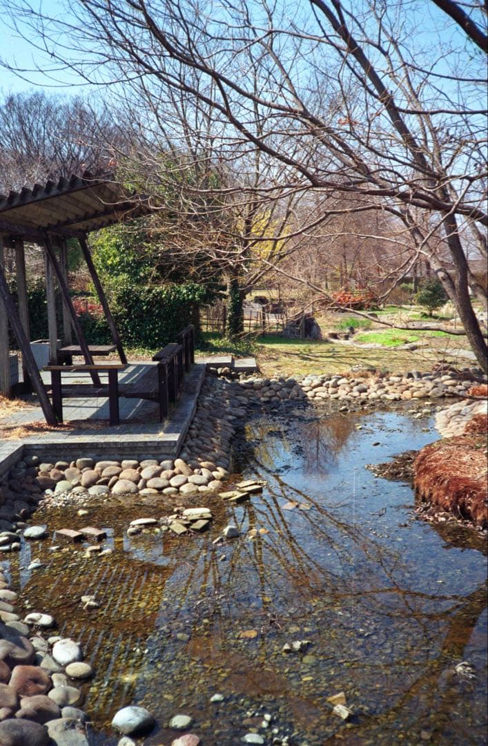 KONICA C35 ブラック　整備品、テスト撮影済み　361457