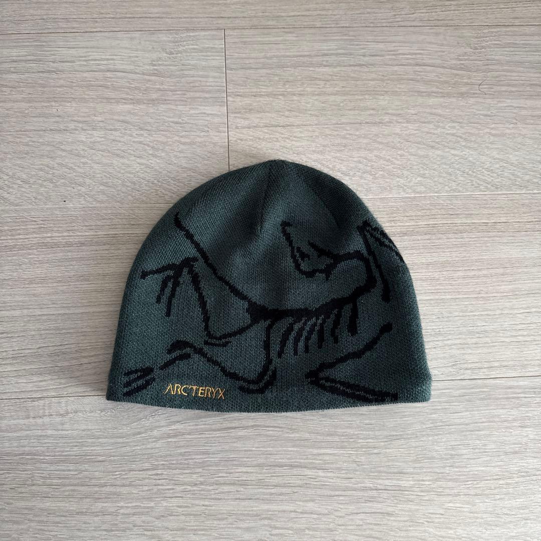 ARC'TERYX スケルトンデザイン ニット帽