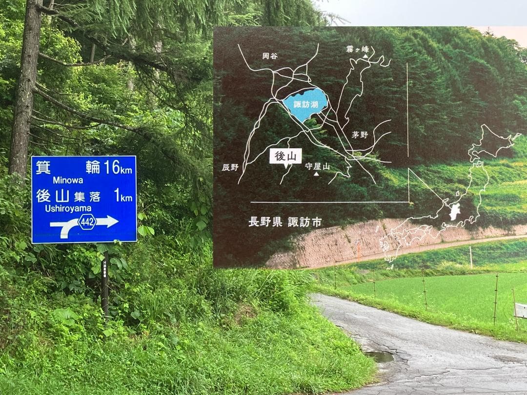 国産蜂蜜 信州産 1000g 3本セット 百花 アカシア 栗蜜