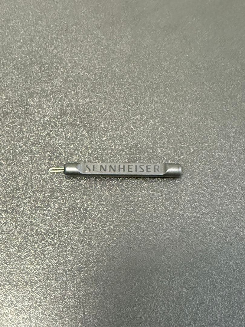 イヤホン SENNHEISER IE300