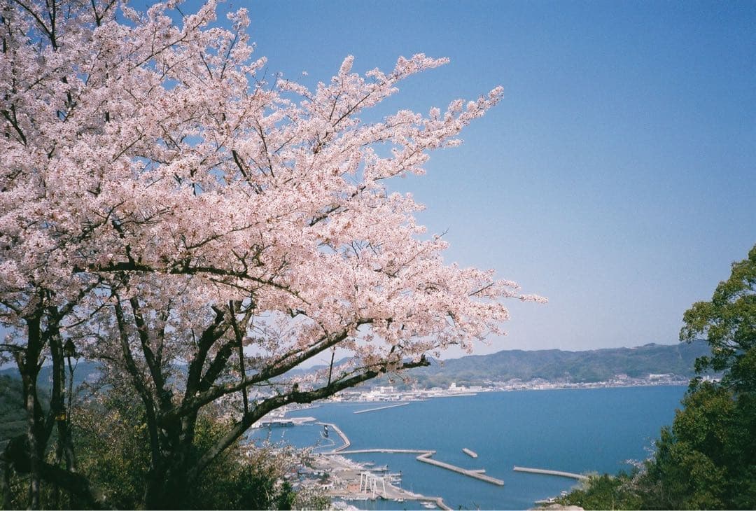 フィルムカメラ Konica bigmini