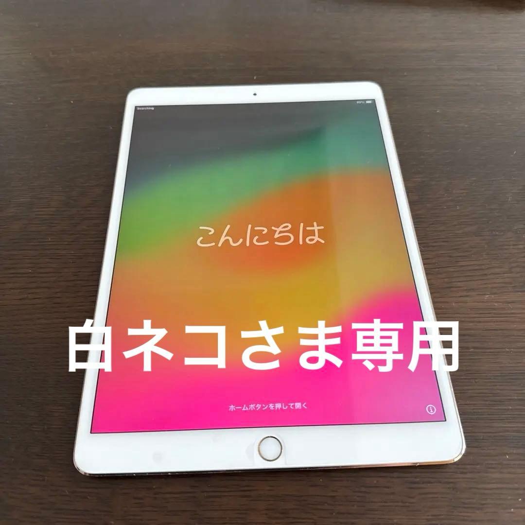 iPad Pro 10.5インチ Cellularモデル (docomo)