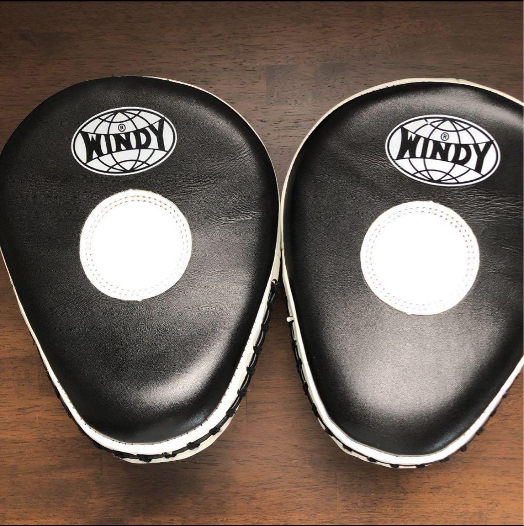 WINDY ミット