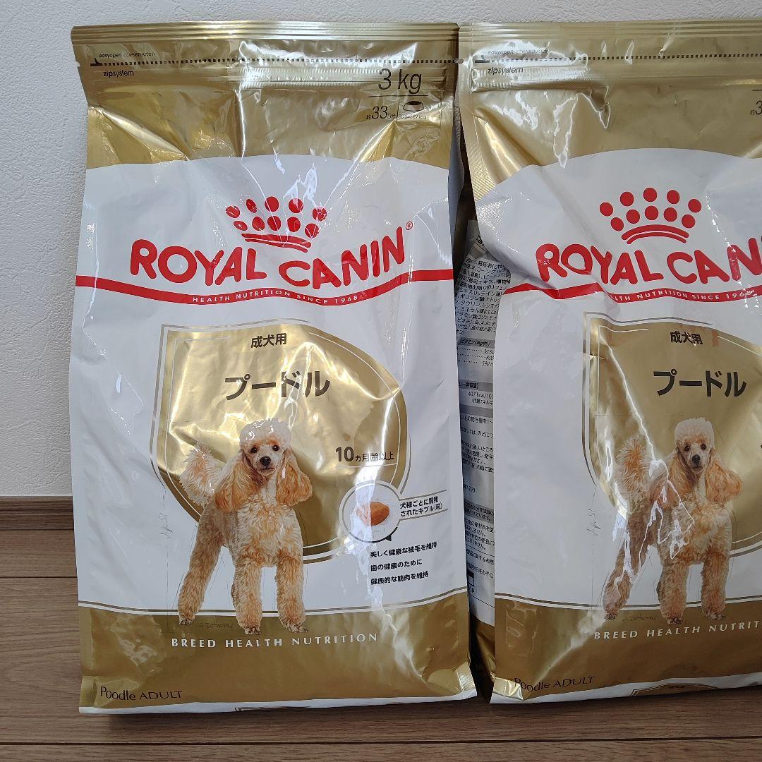  CANIN プードル ドッグフード 3kg 新品 2袋分