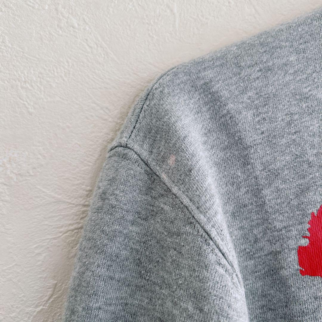 エヴィス　バックカモメ　ジップアップ　34 グレー　ブルゾン