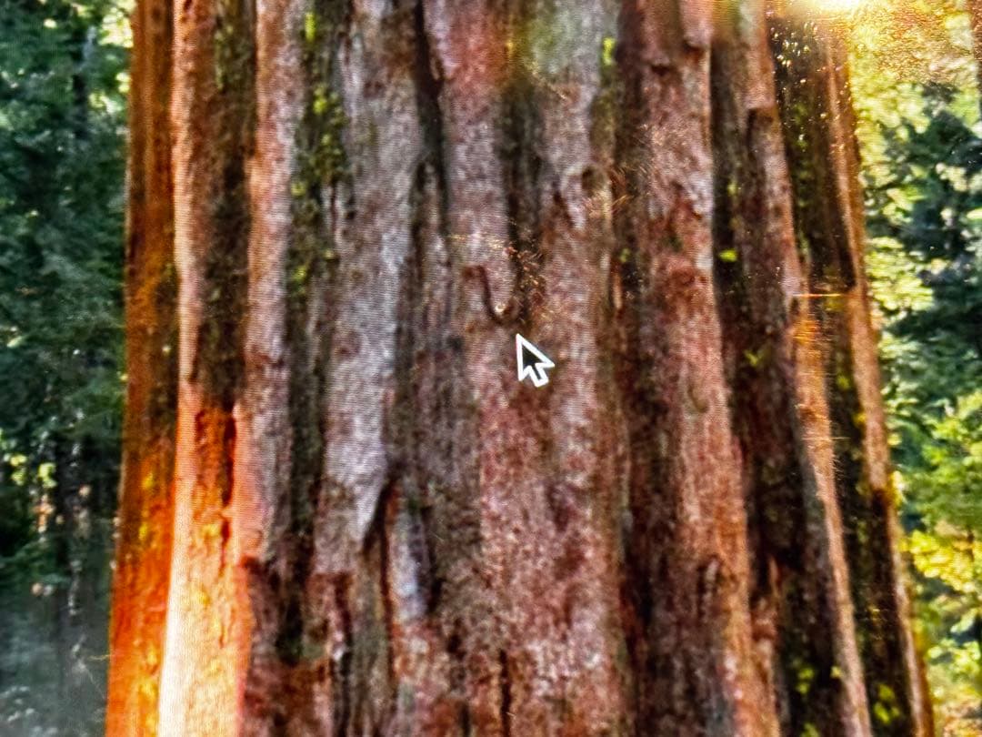 MasashiApple MacBook Pro 14インチ M1 Pro