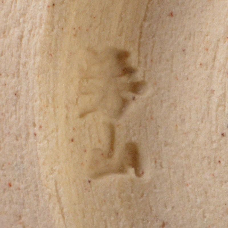 茶道具　萬古焼　松坂萬古　佐久間芳山　蔦の細道　茶碗　共箱　C　5696