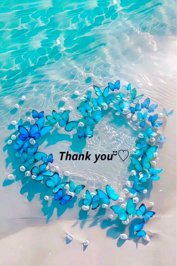 ❤️やこ様❤️