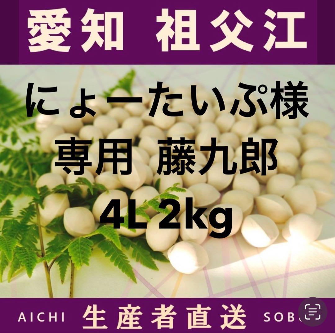 にょーたいぷ　藤九郎　4L 2kg