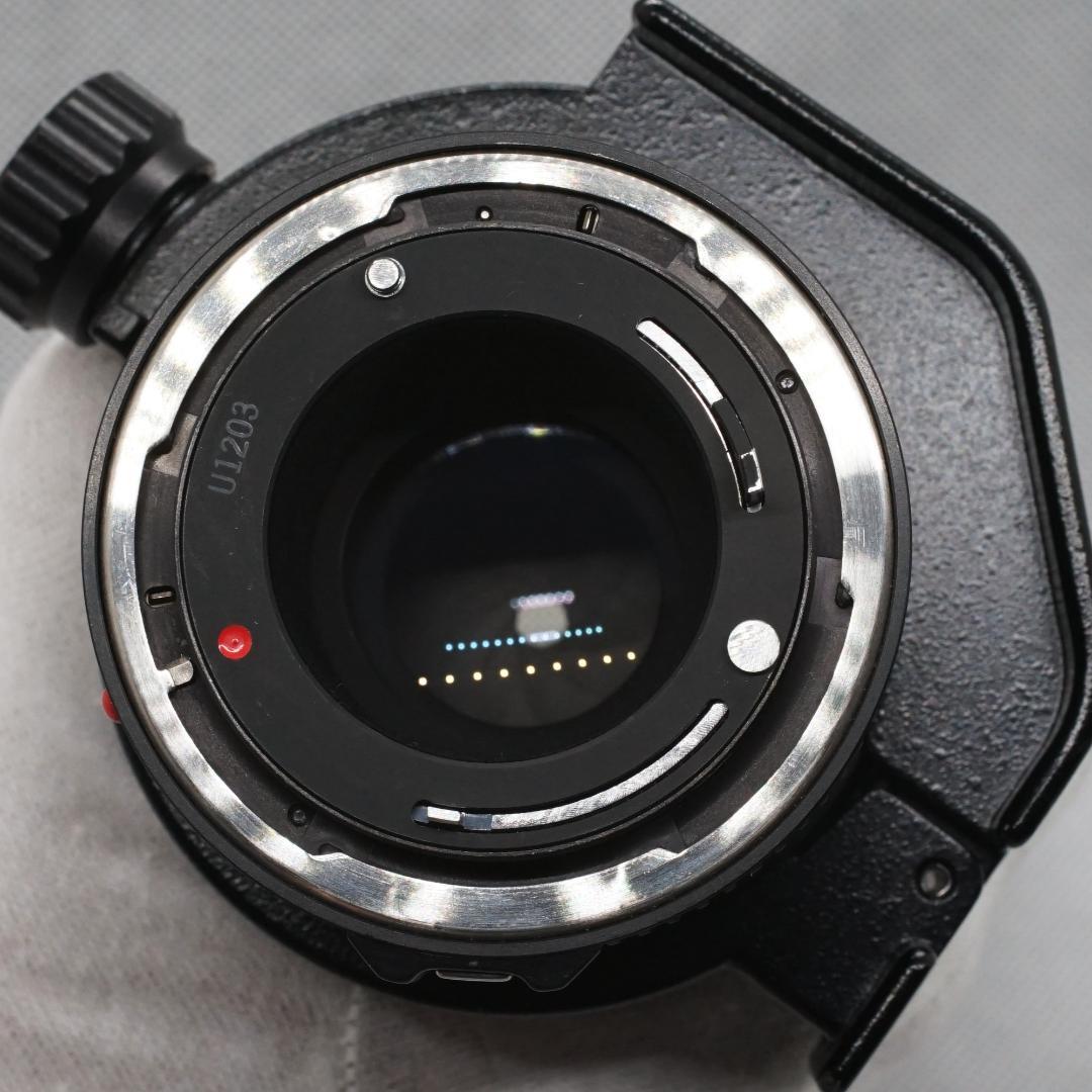 [良品/作例] Canon New FD 300mm f4 キヤノン 望遠