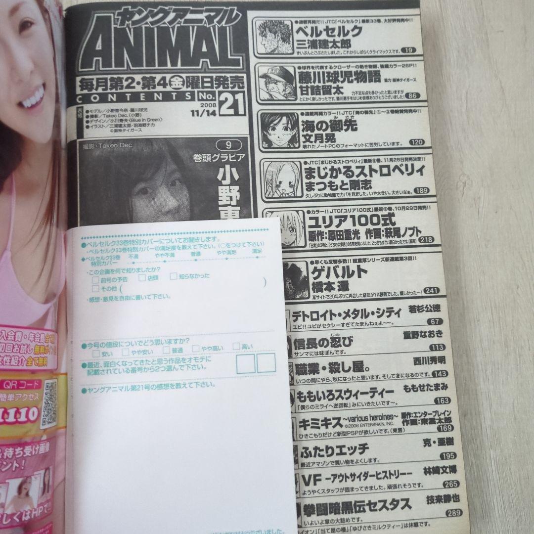 ヤングアニマル2008.11.14　ベルセルク特別カバー付録有り
