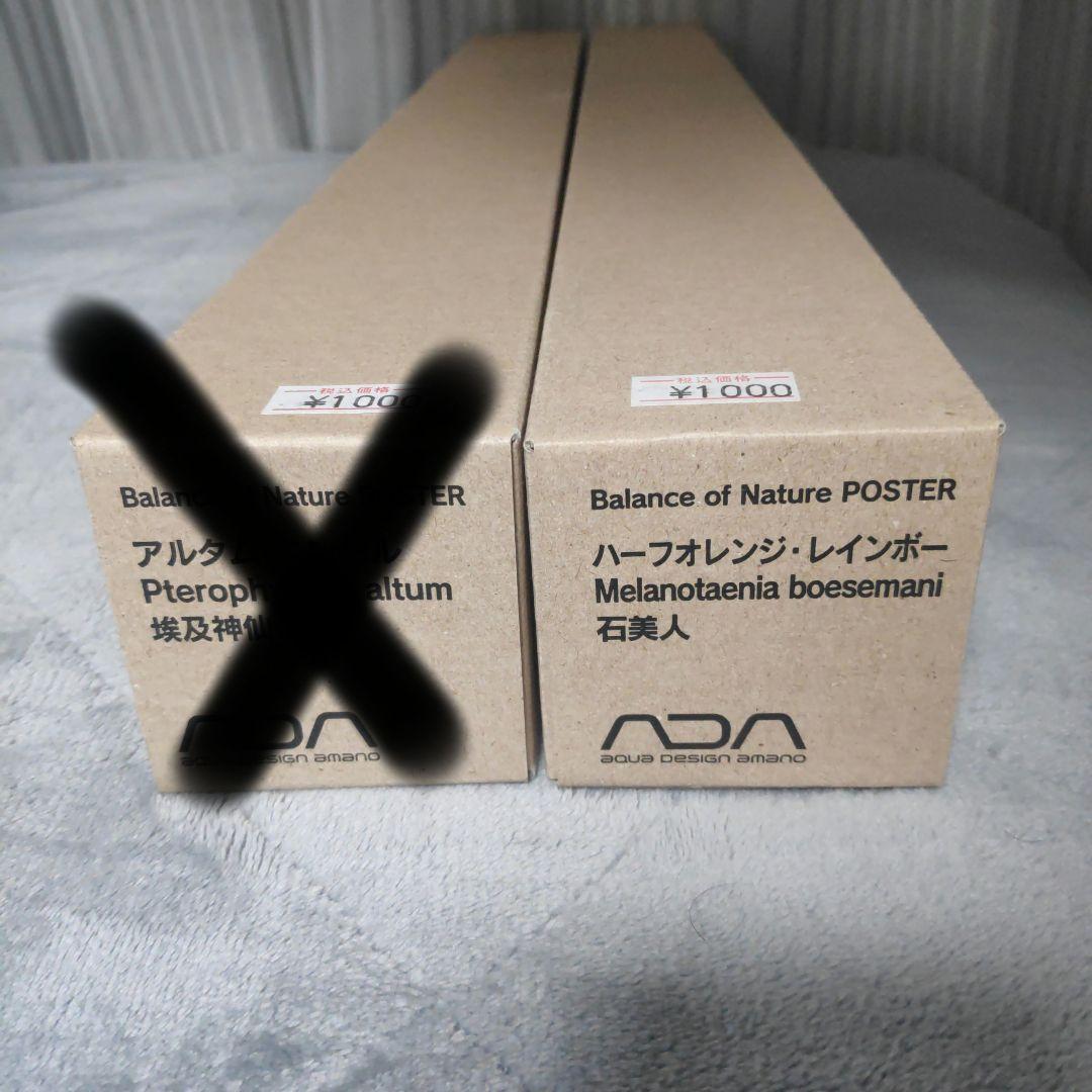 ADA ポスター ハーフオレンジレインボー