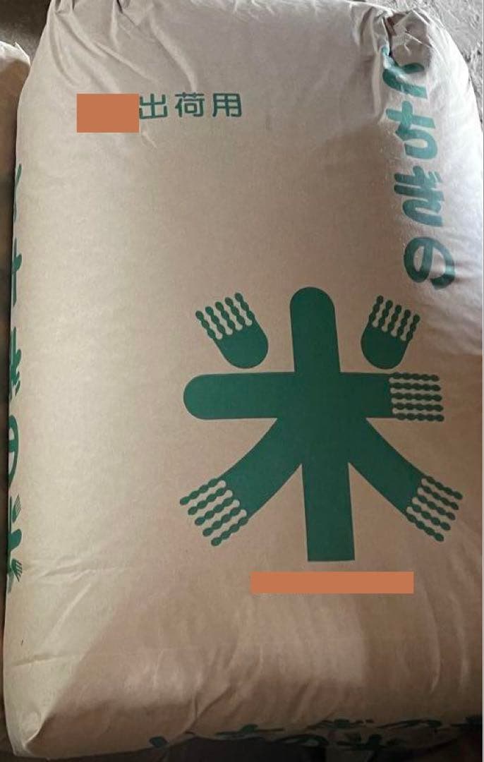 農家直送 栃木県産コシヒカリ 白米10ｋｇ