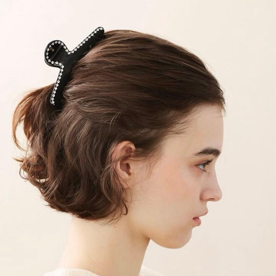 新品✨アレクサンドルドゥパリ✨Lクリップ✨スワロフスキークリスタルブリオン✨️