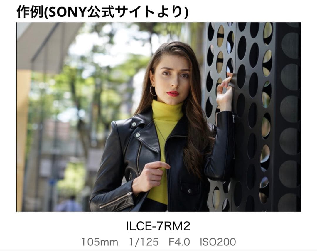 【美品】SONY FE 24-105mm F4 G OSS ズームレンズ