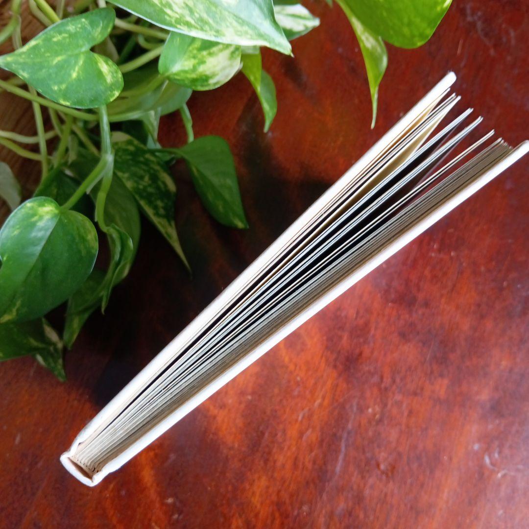 洋書古書　希少　猫の国　アート　画集　ポストカード　イラスト　ヴィンテージ