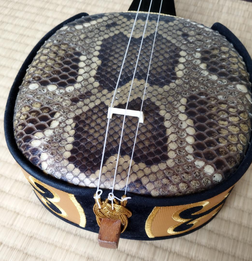 沖縄 三線 強化張り ケース付き