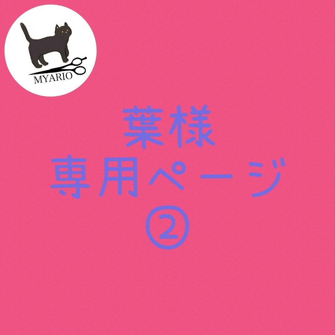 お見積もり専用ページ(#490-②)