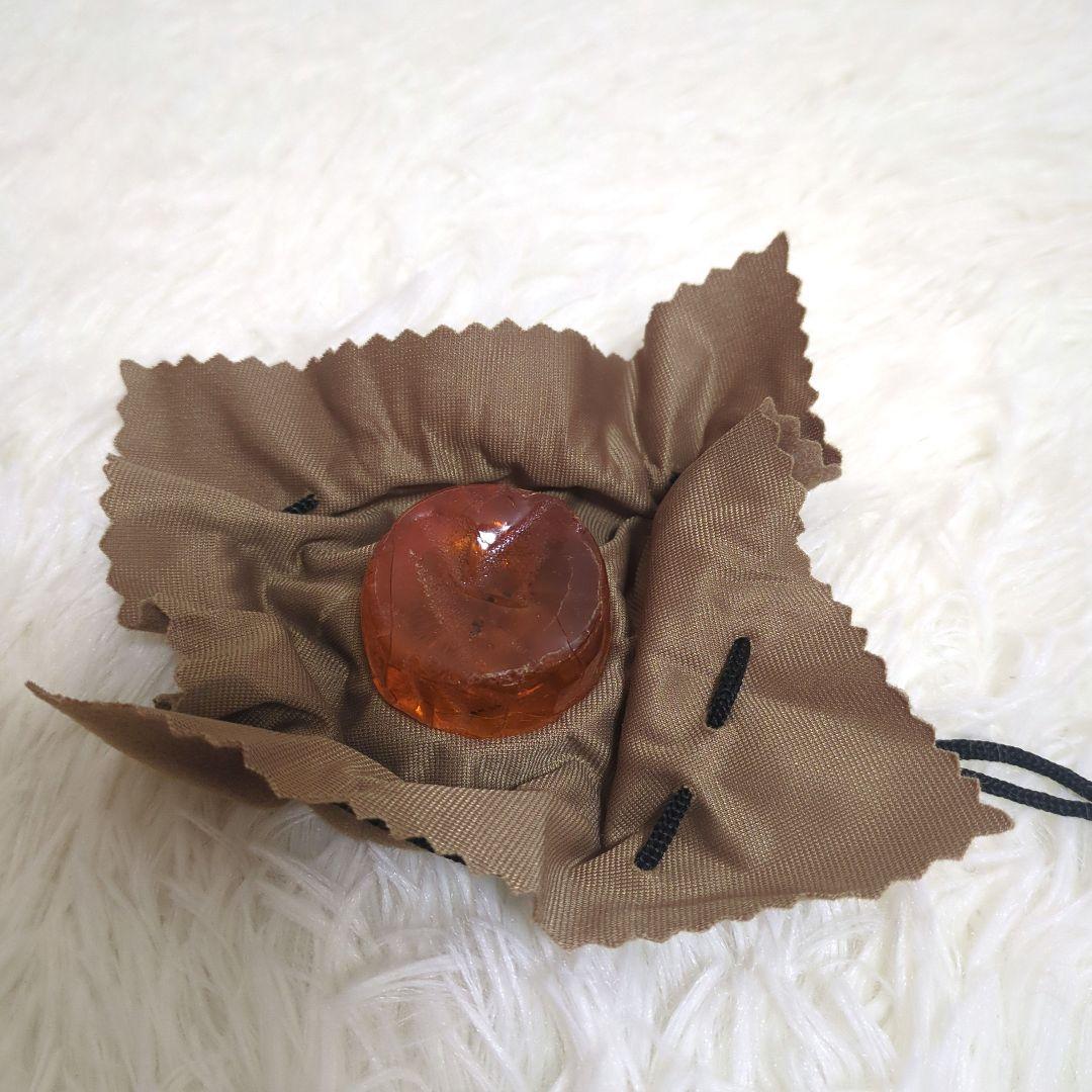 和胡弓　本体　弓　ハードケース　付属品付