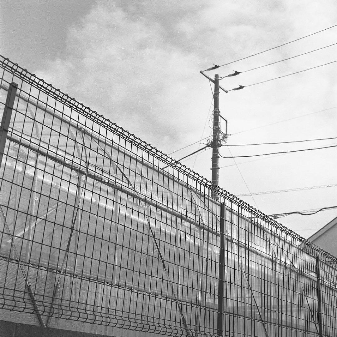 YASHICA Mat 124 G 二眼レフカメラ