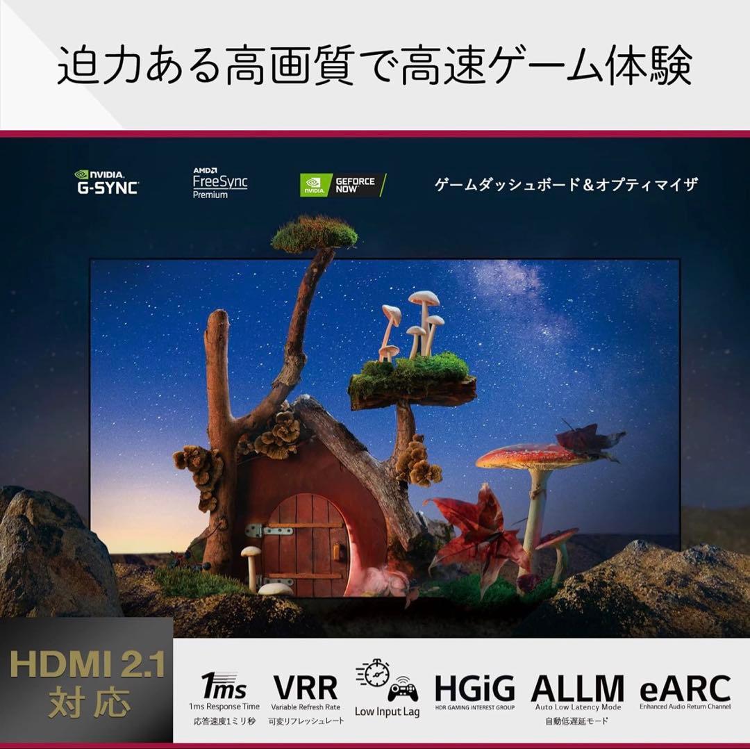 LG 有機EL テレビ 48型 4Kチューナー内蔵 OLED48C2PJA