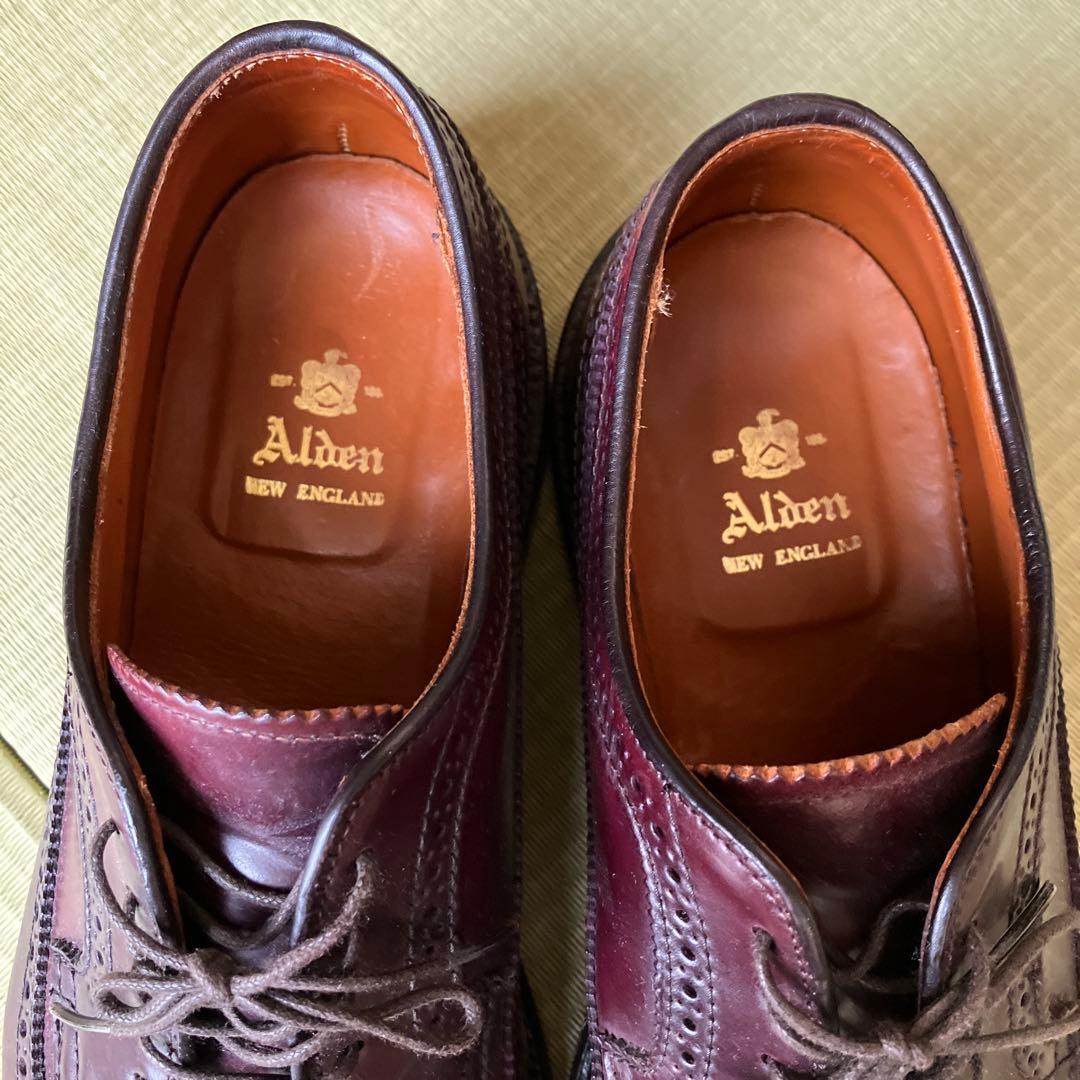Alden オールデン 975 ロングウィングチップ コードバン　サイズ9