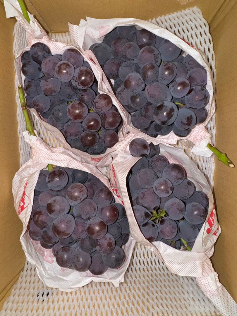 ERICA⭐️JA共選品シャインマスカット 種なし巨峰セット