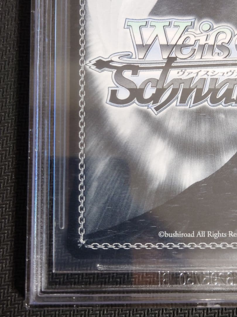 雲仙 箔押しサイン ヴァイスシュヴァルツ sp BGS10