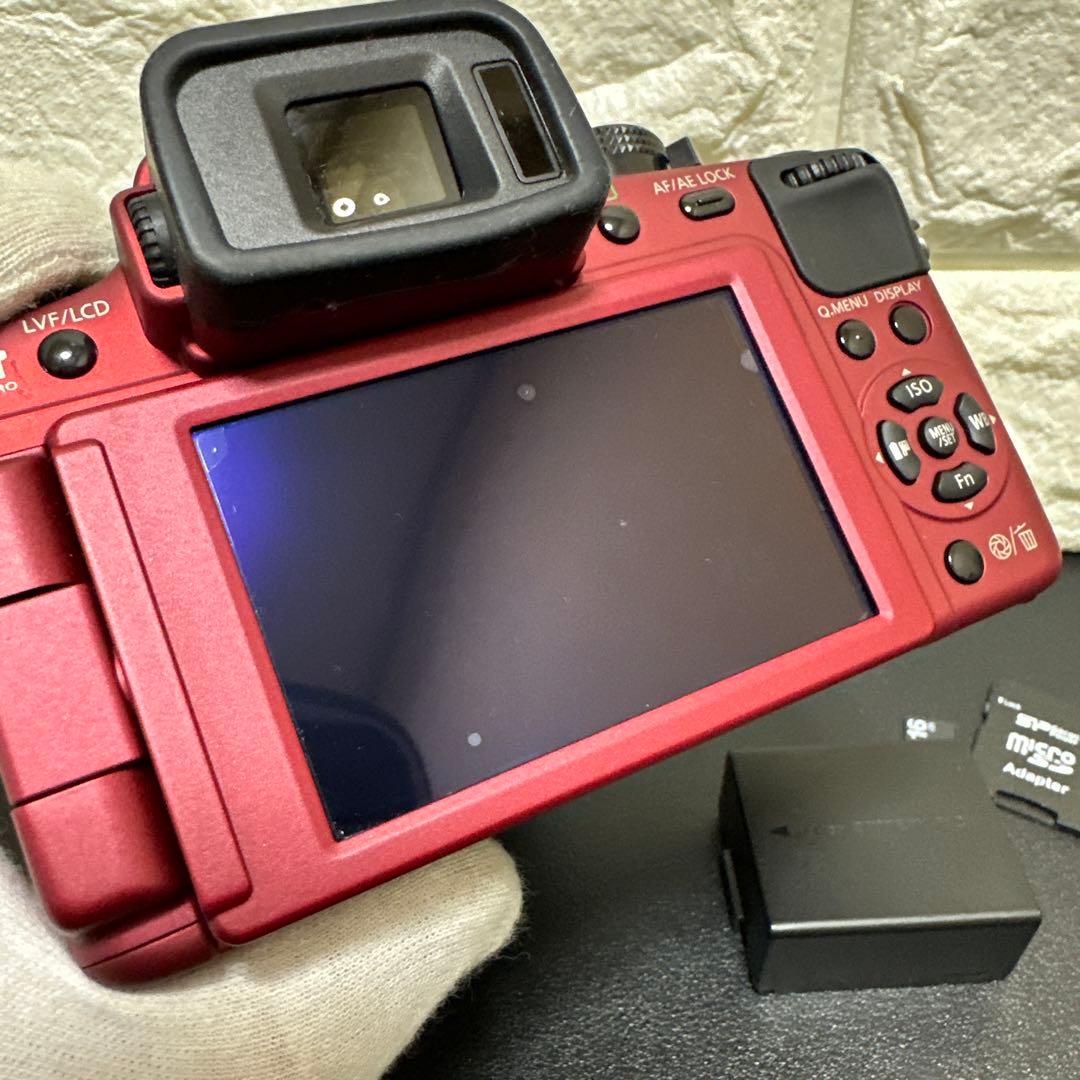 Panasonic LUMIX DMC-G2 レンズセット　動作確認済