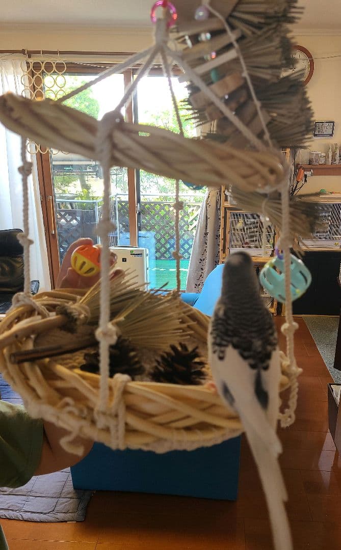 ④ Mont-Blanc＊　揺れるアスレチックLサイズ　6こ