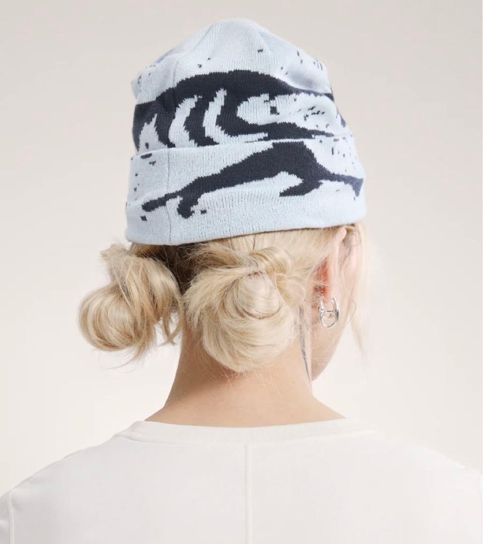 2026年2月購入★新品★ 新色★アークテリクス　グロットトーク　ニット帽