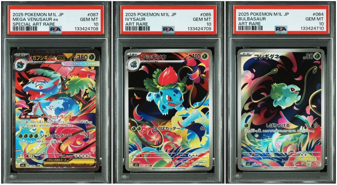 ポケモンカード フシギソウ フシギダネ フシギバナ psa10 3連番