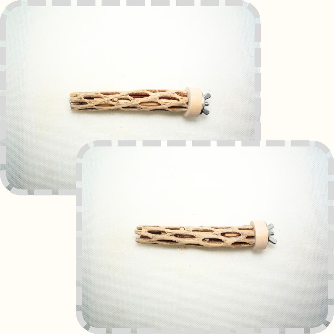 R@　おまとめ　カクタスパーチ　３本