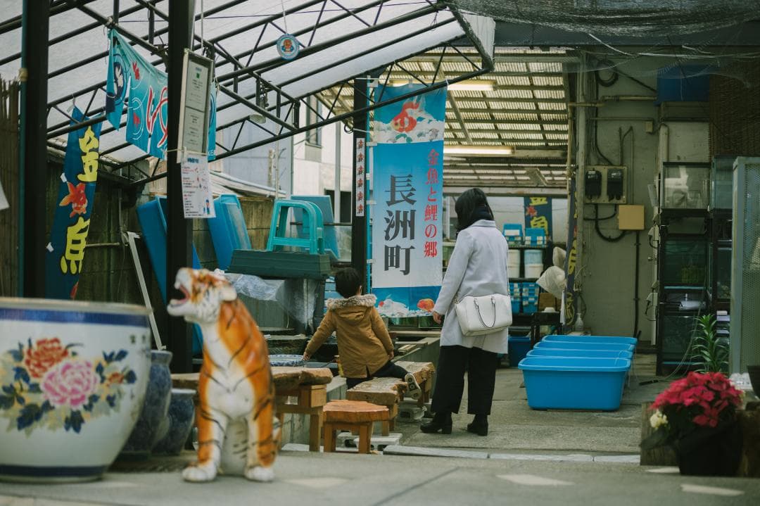 【実用品・フード付き】Canon EF70-210mm F3.5-4.5 USM