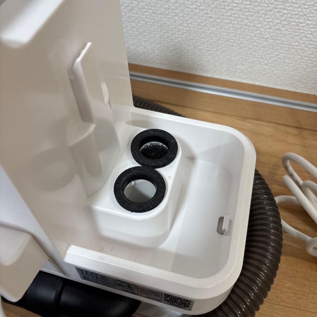 2025年製　アイリスオーヤマ　リンサークリーナー RNSP-P500