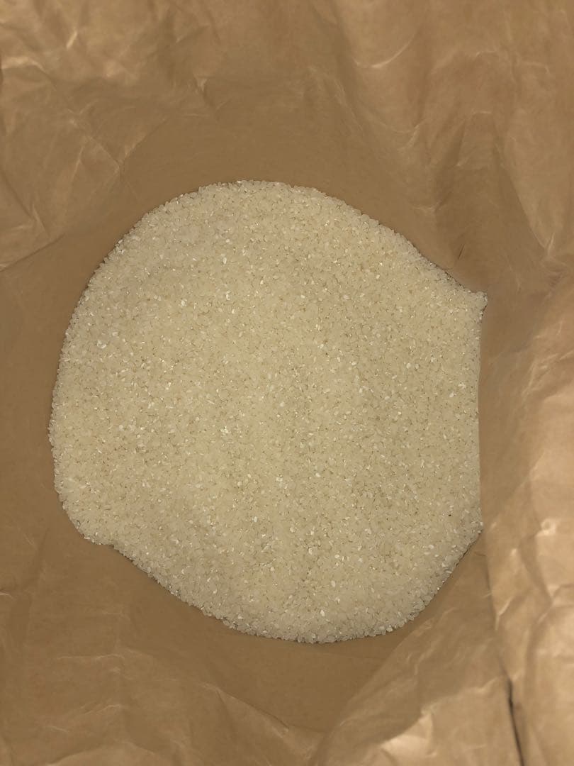 岡山県産きぬむすめ精米10kg(2025年10月収穫)いっ